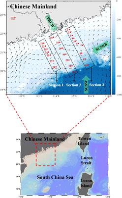 Using dual water isotopes to quantify the mixing of water masses in the Pearl River Estuary and the adjacent northern South China Sea